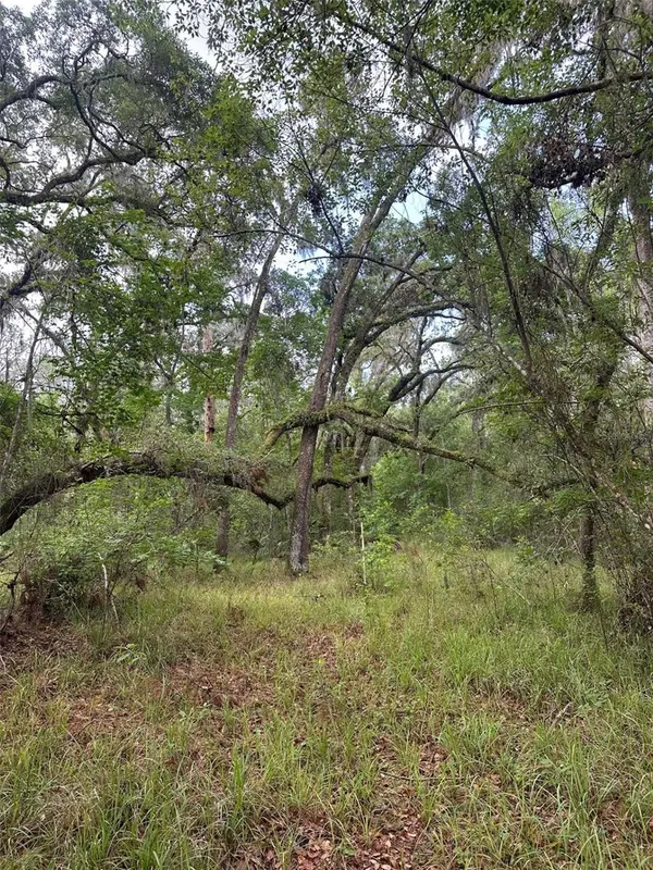0 EMERSON RD, Brooksville, FL 34601