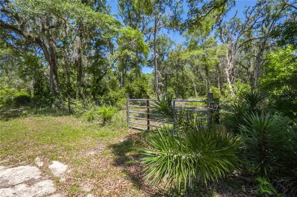 105 NE 239TH AVE, Old Town, FL 32680