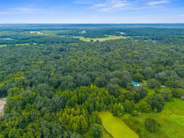RAIN FOREST RD, Brooksville, FL 34601