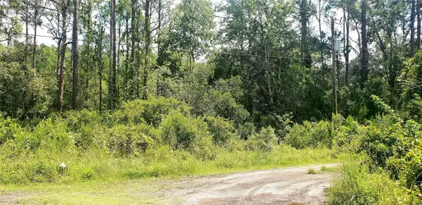 0 LADD AVENUE, New Port Richey, FL 34654