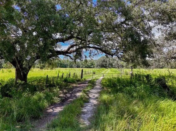 20089 AYERS RD, Brooksville, FL 34604
