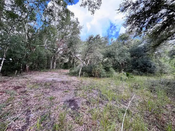 0 BEDROCK DR, Webster, FL 33597
