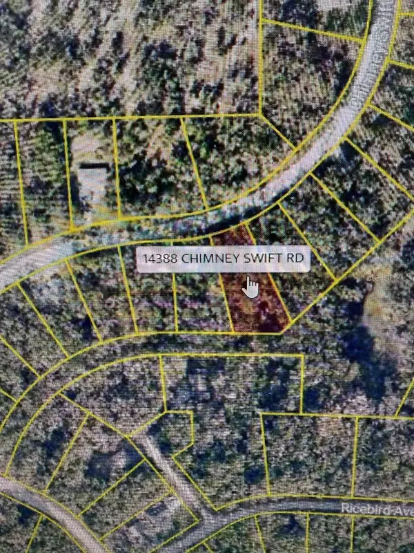14388 CHIMNEY SWIFT RD, Weeki Wachee, FL 34614
