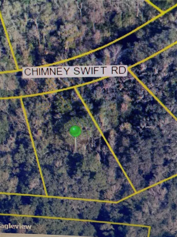 14388 CHIMNEY SWIFT RD, Weeki Wachee, FL 34614