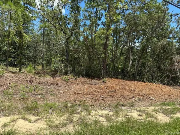 955 W HAMPSHIRE BLVD, Citrus Springs, FL 34434