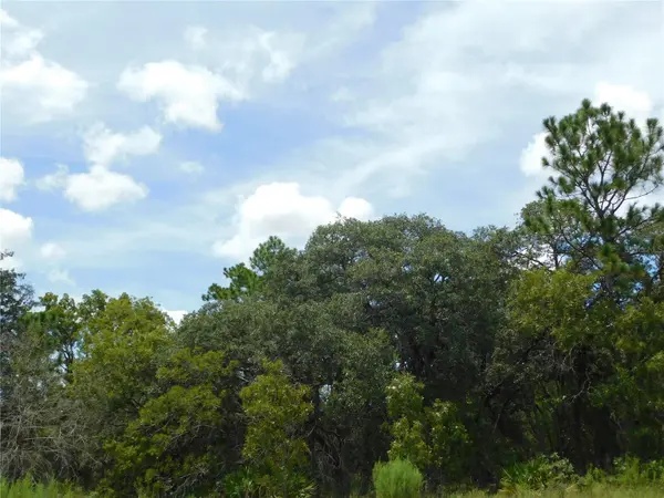 6681 N BEDSTROW BLVD, Dunnellon, FL 34434
