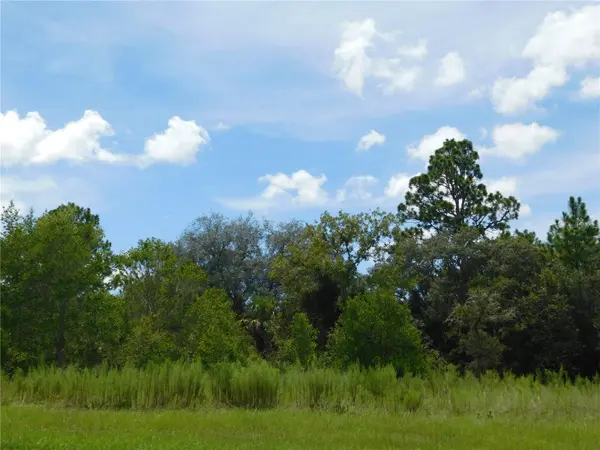 6683 N BEDSTROW BLVD, Dunnellon, FL 34434