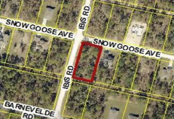 15282 IBIS RD, Brooksville, FL 34614