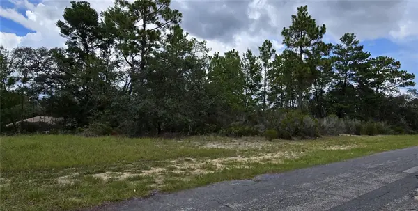 2899 W SANTANA DR, Citrus Springs, FL 34433