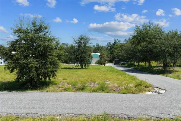 0 SW 869TH LOOP, Steinhatchee, FL 32359