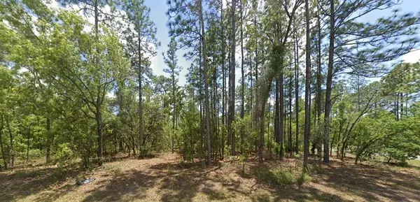 3662 W GALTONIA LN, Citrus Springs, FL 34433