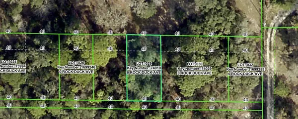 ROCK DUCK AVE, Brooksville, FL 34614