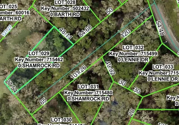 SHAMROCK RD, Dade City, FL 33523