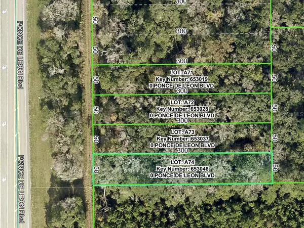PONCE DE LEON BLVD, Brooksville, FL 34601