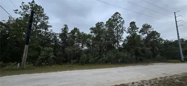 13476 CANADA GOOSE RD, Brooksville, FL 34614