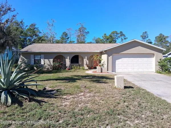 6233 HANCOCK AVE, Spring Hill, FL 34608