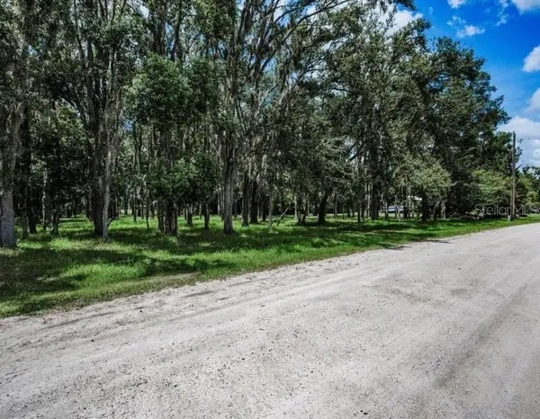 4635 COBB RD, Land O Lakes, FL 34638
