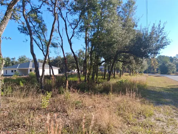 0 AUGUST AVE, Webster, FL 33597