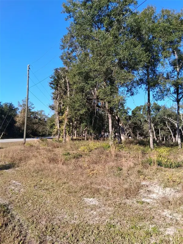 0 AUGUST AVE, Webster, FL 33597