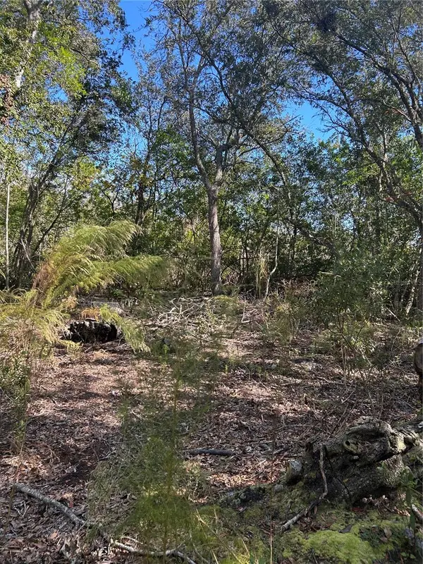 7740 E SMOKE TRL, Inverness, FL 34453
