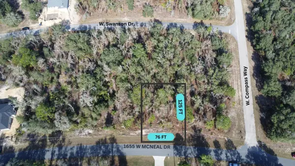 1655 W MCNEAL DR, Citrus Springs, FL 34434
