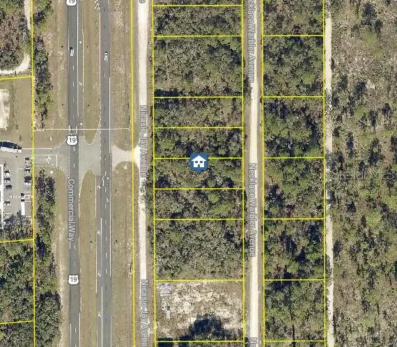 LOT 15 NICASIO JAY AVE, Weeki Wachee, FL 34614