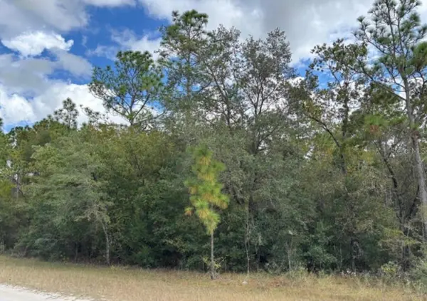 Lot 19 CANYON SWALLOW RD, Weeki Wachee, FL 34614