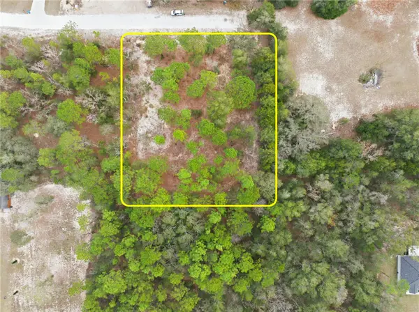 CORMORANT RD, Weeki Wachee, FL 34614