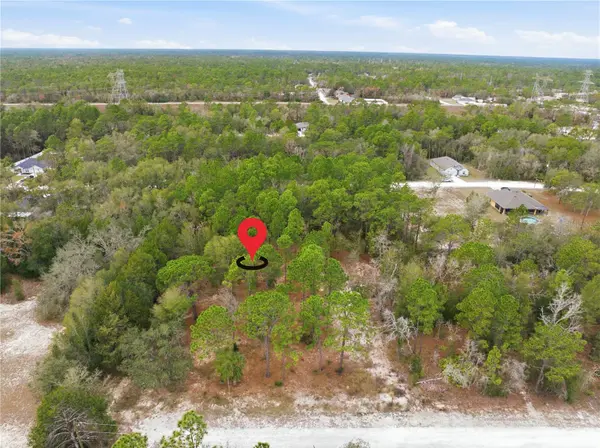 CORMORANT RD, Weeki Wachee, FL 34614
