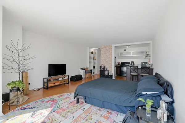 21 W Goethe ST #9J, Chicago, IL 60610