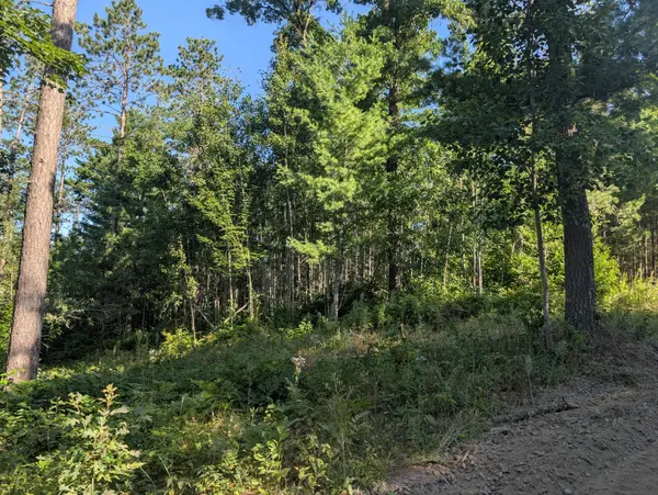 3380 W Highway 63, Springbrook, WI 54875