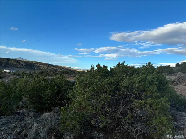 10AC Icehouse RD, Fort Garland, CO 81133