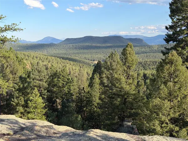 237 Road B, Pine, CO 80470