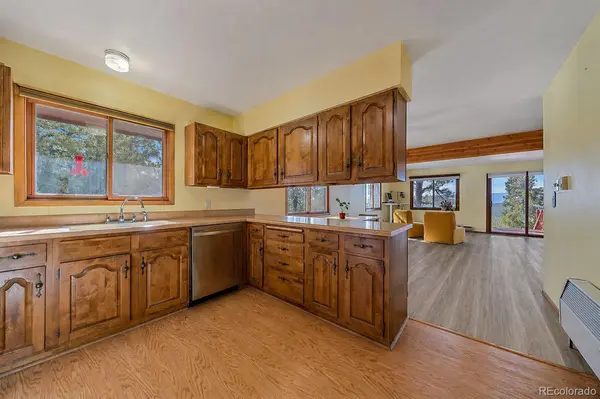 237 Road B, Pine, CO 80470