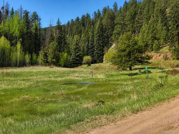 Lot 1 Co Rd 358, Westcliffe, CO 81252