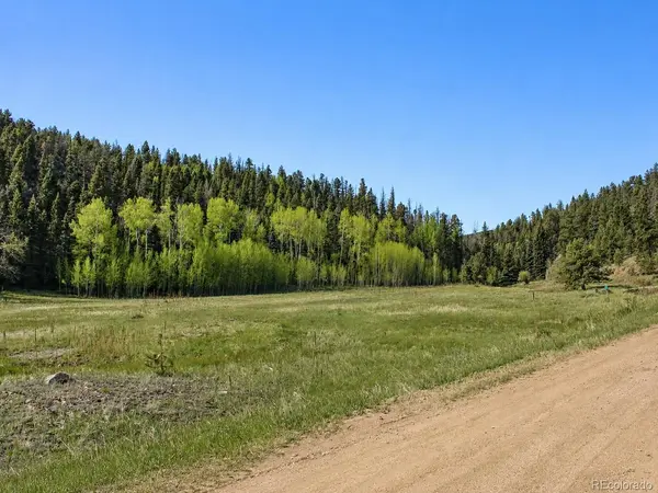 Lot 1 Co Rd 358, Westcliffe, CO 81252