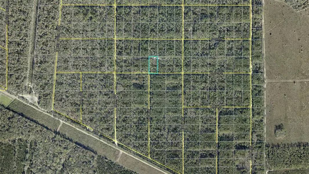 21-10-28-2775-00040-1020 OLSON ST, Hastings, FL 32145