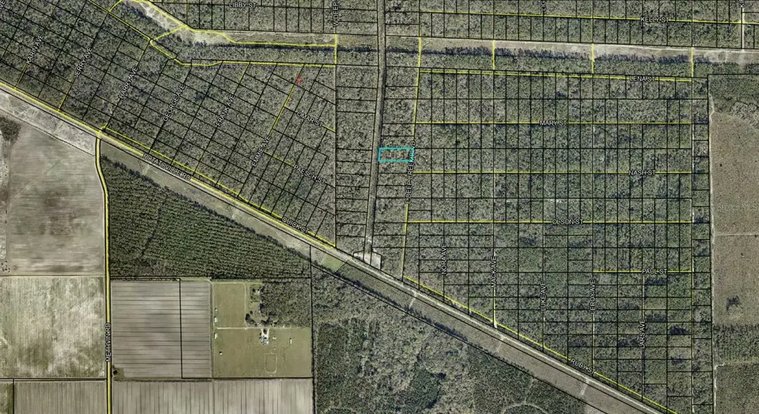 E DEEP CREEK BLVD, Hastings, FL 32145