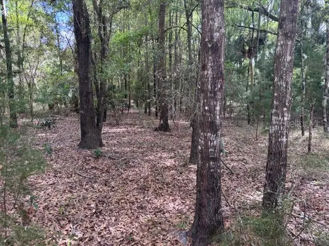 1.77 acres NW 73 ST, Chiefland, FL 32626