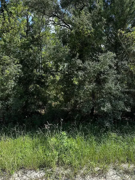 XX SE 21ST PLACE, Morriston, FL 32668
