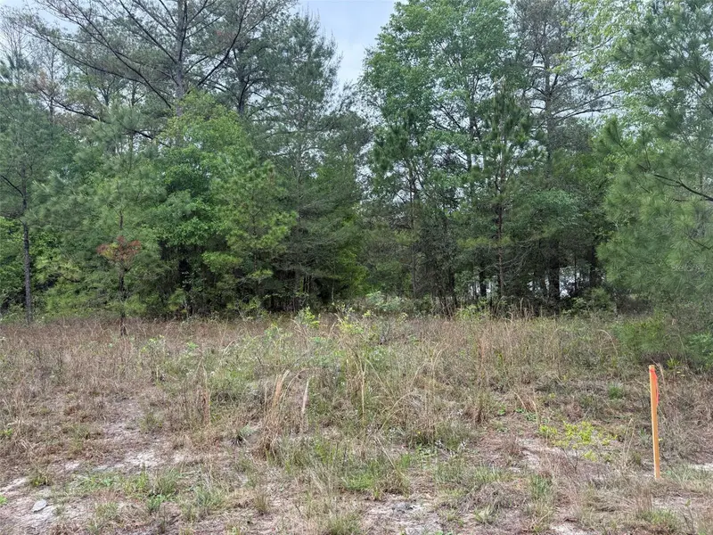 MALTAS AVE, Interlachen, FL 32148