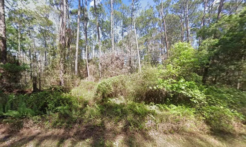 418 PALM WAY, Georgetown, FL 32139