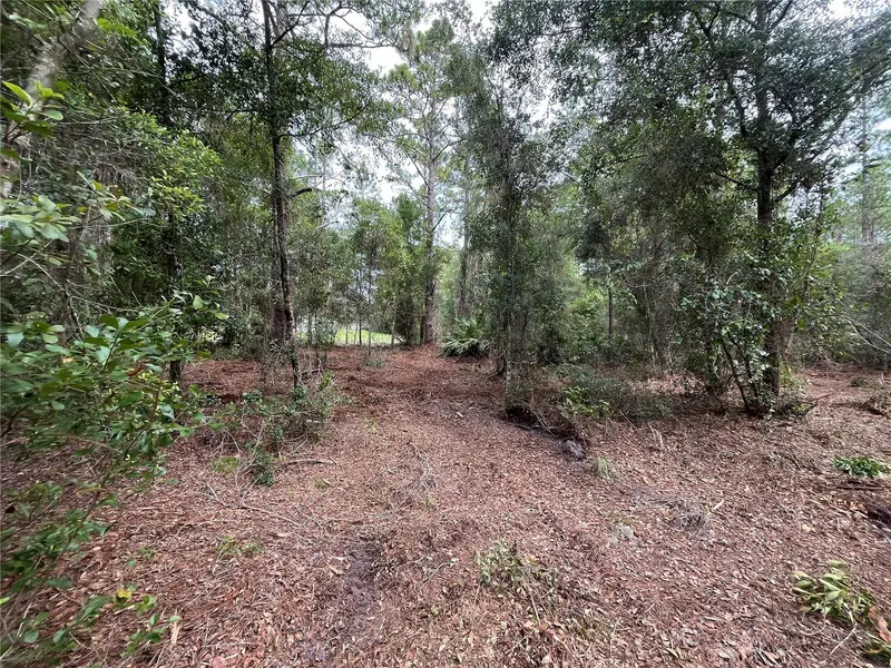 122 GLENSIDE ST, Georgetown, FL 32139