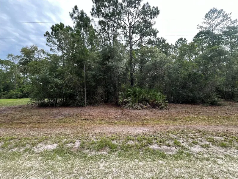124 GLENSIDE ST, Georgetown, FL 32139