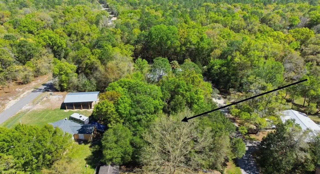 NE 4TH LN, Williston, FL 32696