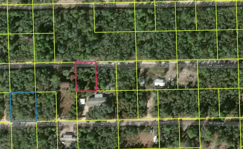 NE 235TH PL, Fort Mc Coy, FL 32134