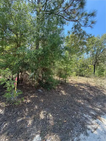 NE 118TH LN, Bronson, FL 32621