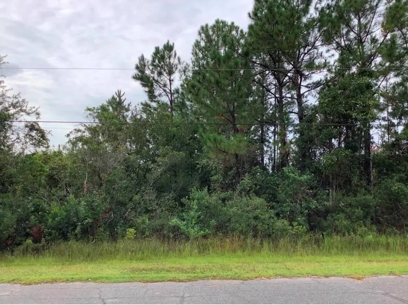 ODHAM ST, Orlando, FL 32833