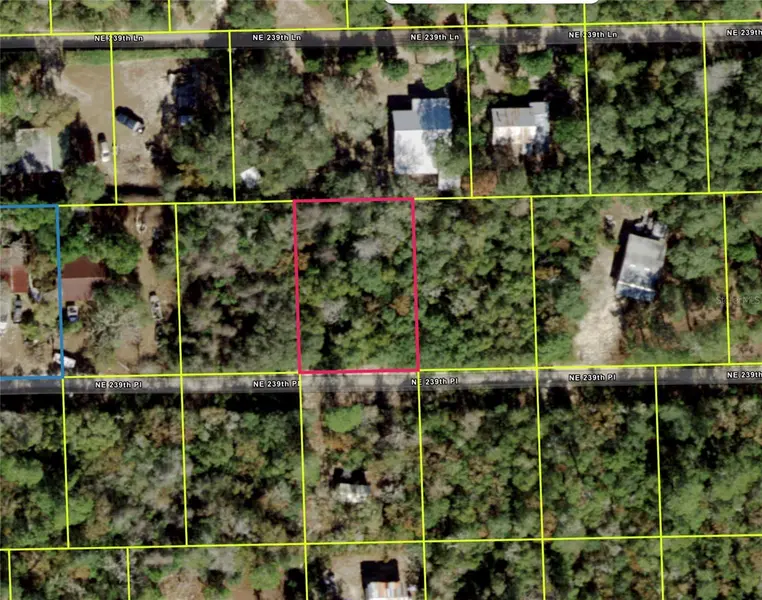 NE 239TH PL, Fort Mc Coy, FL 32134