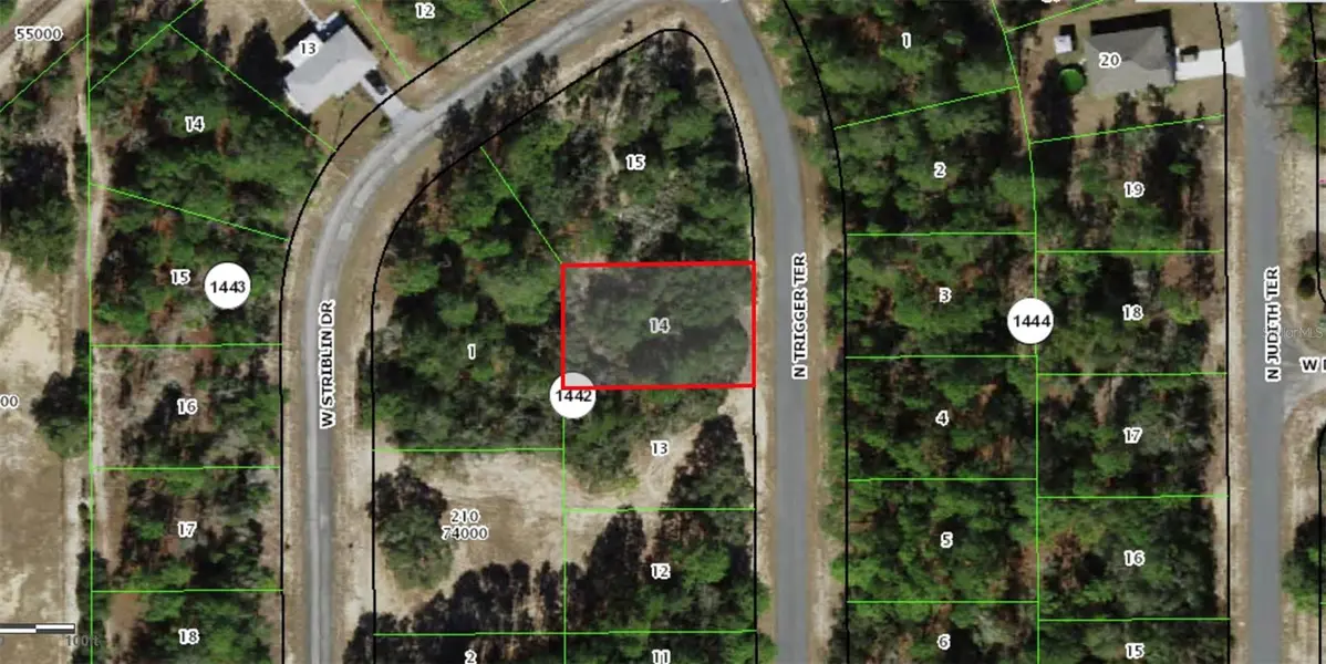 11126 N TRIGGER TER, Citrus Springs, FL 34433
